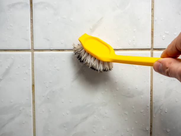 Best Mold Cleaning Services  in Rancho Santa Margarita, CA