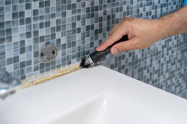 Reliable Rancho Santa Margarita, CA Mold Removal Solutions