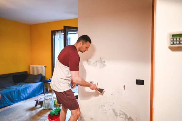 Mold Removal and Inspection in Rancho Santa Margarita, CA